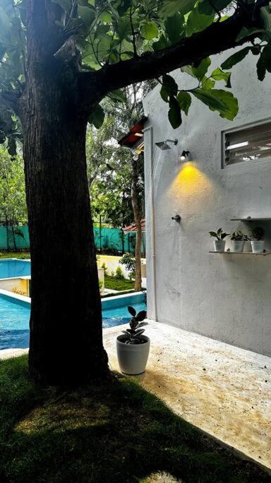 Serenity Farm Stay Hampāpura Kültér fotó