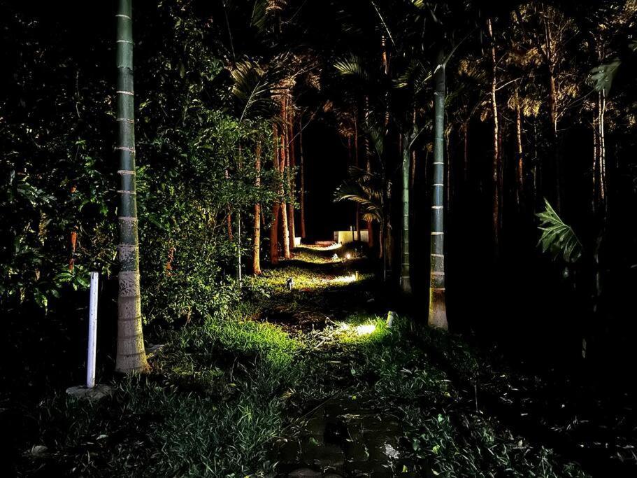 Serenity Farm Stay Hampāpura Kültér fotó